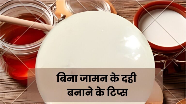बिना दही के दही कैसे जमाये