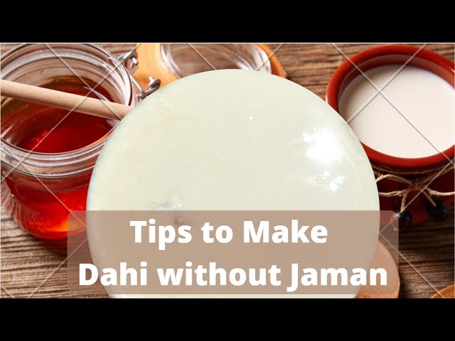 Curd without Jaman