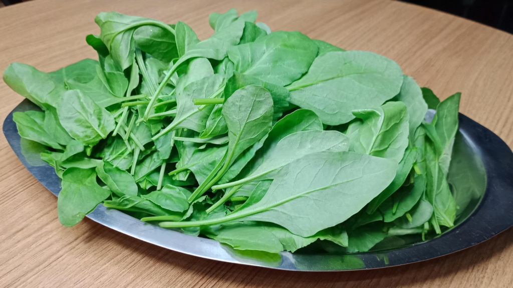 Top 7 Superfoods for Boosting Energy and Immune System 1 Untitled design 2