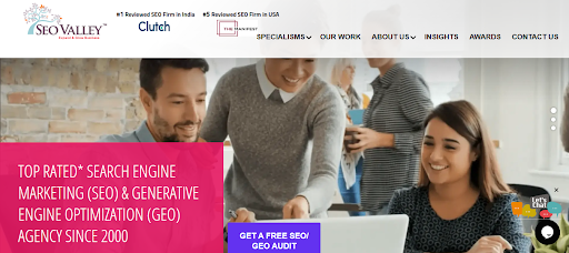 Top 10 Best GEO & AIO Agencies in India for AI Search Optimization in 2026 8 SEOValley Solutions